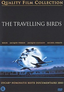 travelling birds