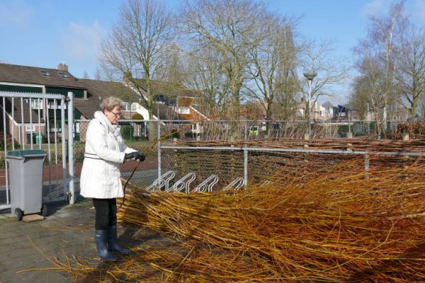 Wilgenhek In Kruidentuin - De Dierenploeg Zevenbergen