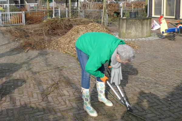 Wilgenhek In Kruidentuin - De Dierenploeg Zevenbergen